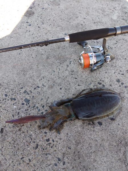 天候はよかったのですが・・・