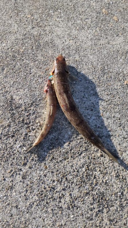 エソゲーム！(裏で9目達成！)