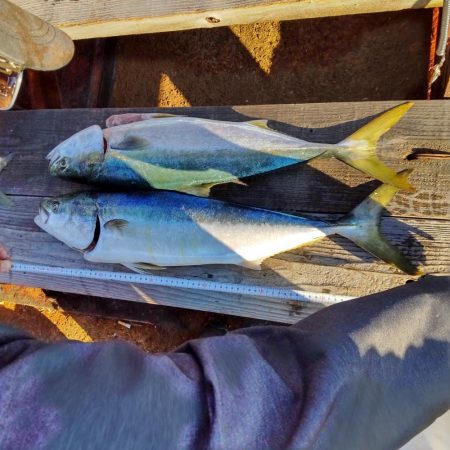 今日も浮き飲ませで(爆)釣果