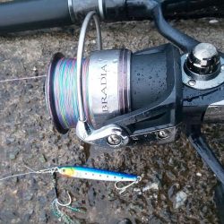 ぎりぎりサワラクラス