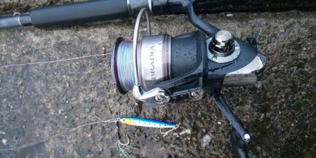 ぎりぎりサワラクラス