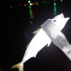 ライトワインド