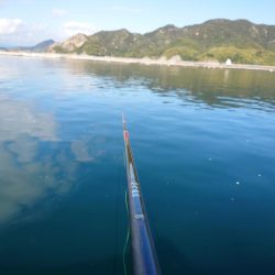 牡蠣筏からフカセ釣りでチヌ連発