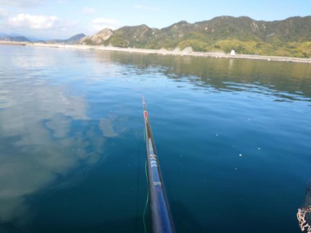 牡蠣筏からフカセ釣りでチヌ連発