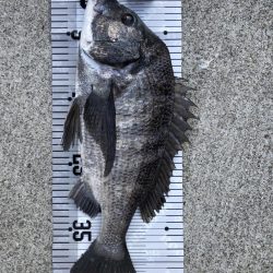 イチノ兄弟（兄）釣果！