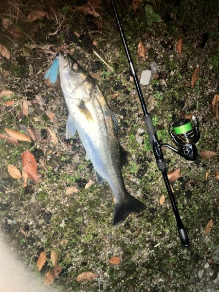 ががっときました。