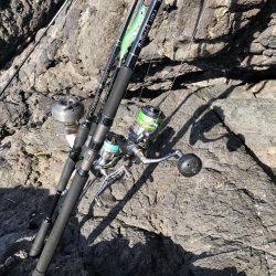 ニューロッドには物足りない