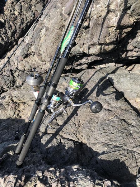 ニューロッドには物足りない