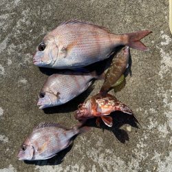 晩秋のエビ撒き