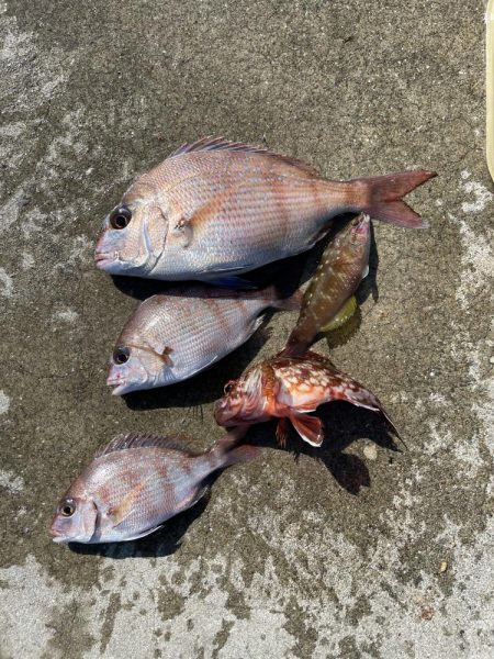 晩秋のエビ撒き