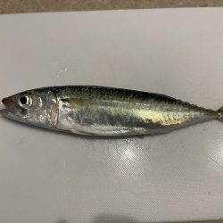 矢倉緑地公園1126