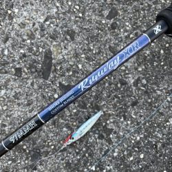 お久しぶりです