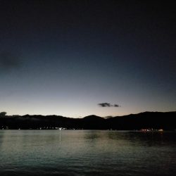 ショアジギング