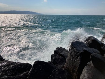 カンパリの情報を参考に