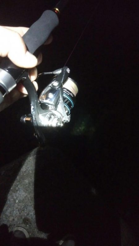 アオリイカ1杯! バラシ1杯