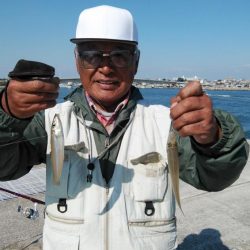 東二見白灯台のキス調査