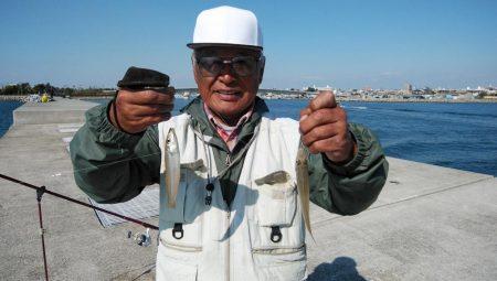 東二見白灯台のキス調査