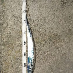 まあまのサイズかな。。