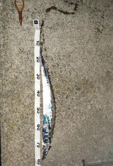 まあまのサイズかな。。