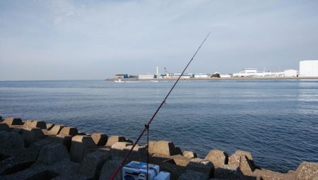 久しぶりに良型キスのアタリを楽しめました