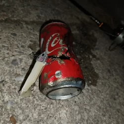 シーバス釣りたく