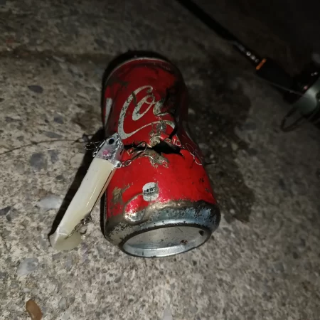 シーバス釣りたく