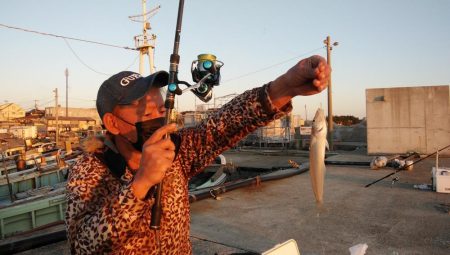 魚住港のキス調査