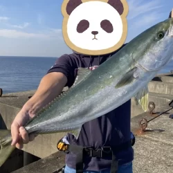 呑ませでメジロ！