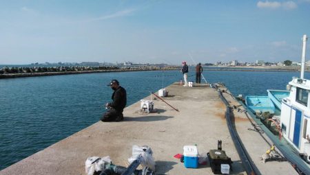 終盤迎えた魚住港のキス