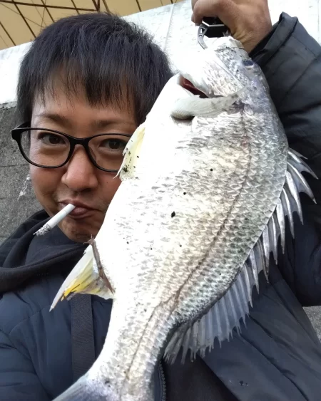 久しぶりの落とし込み