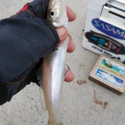 都志港へリベンジ釣行