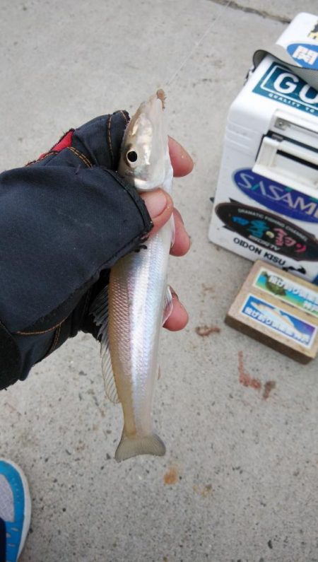 都志港へリベンジ釣行