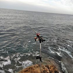 フカセ‥最高ですネ・・