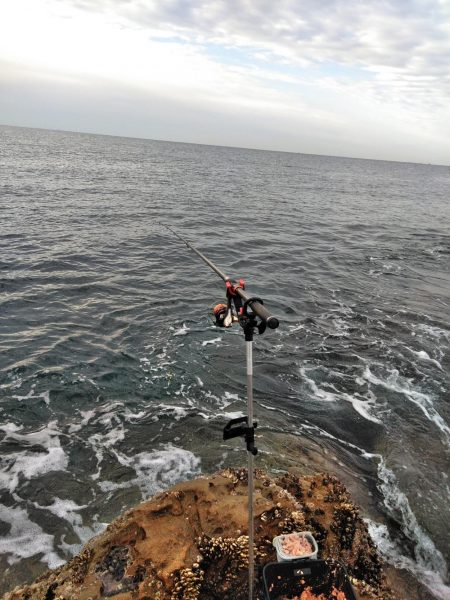 フカセ‥最高ですネ・・