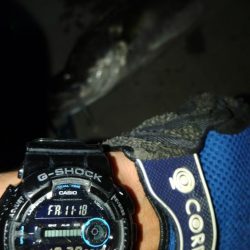 ぶらシーバス!!