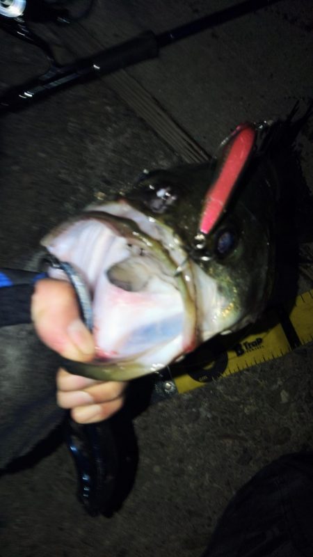 ぶら河川調査！！