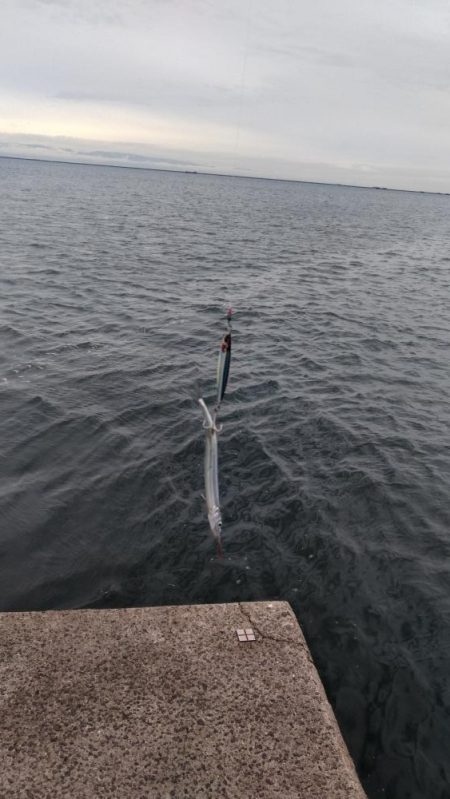 雨降りで、小潮ですが・・・