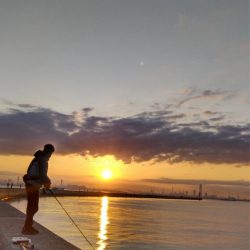 リーダーのチェックは忘れずに！