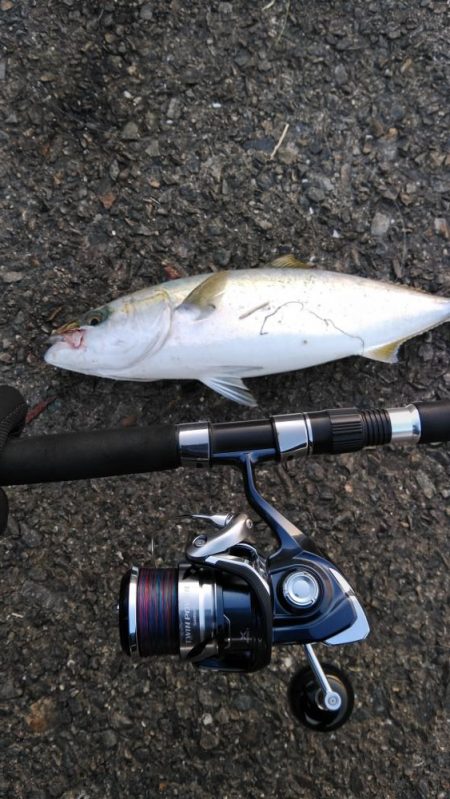 ルアーは、厳しい‼️