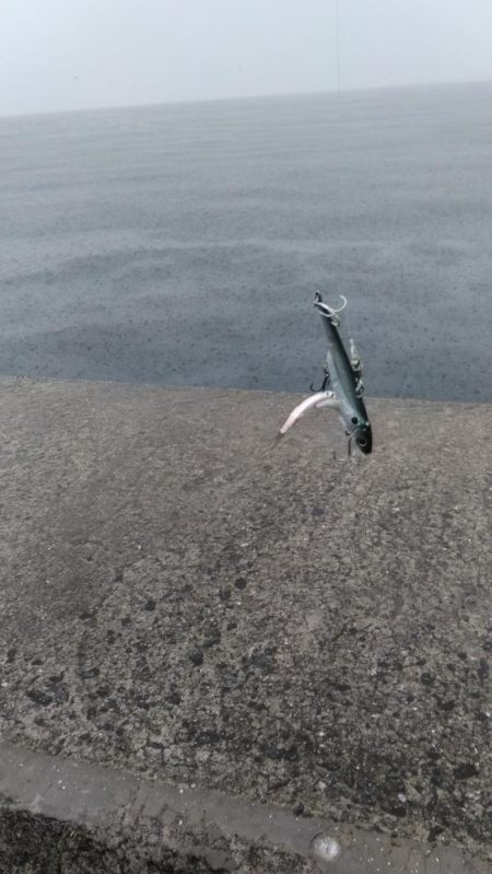 ラインチェックは怠るな！