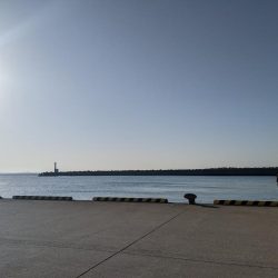 30分エギング！まだおった(・x・*)