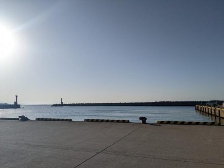 30分エギング！まだおった(・x・*)