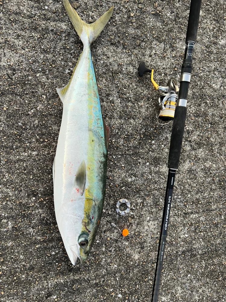 帰ろうとしたその時、ウグイがメジロに変身！！