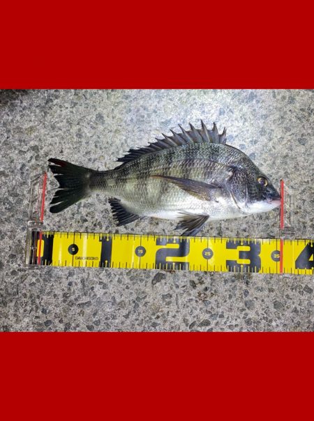 釣りスタートから長くアタリ無く不安な展開