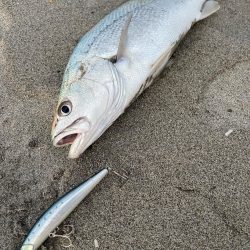 凪の干潮はフィネスが効く！