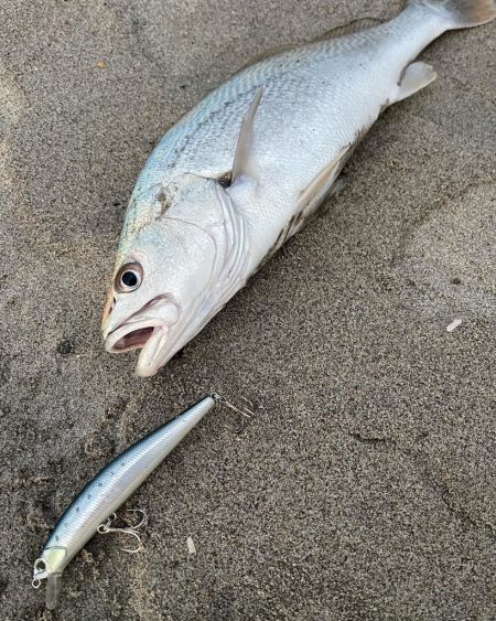 凪の干潮はフィネスが効く！