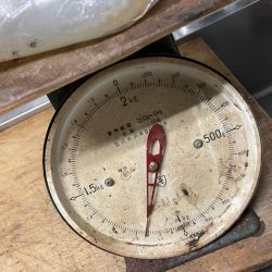 今季5杯目キロアップゲット