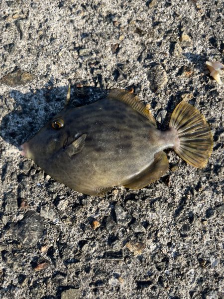 諦めムードの中