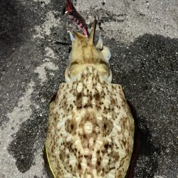 キロアップ目指して！