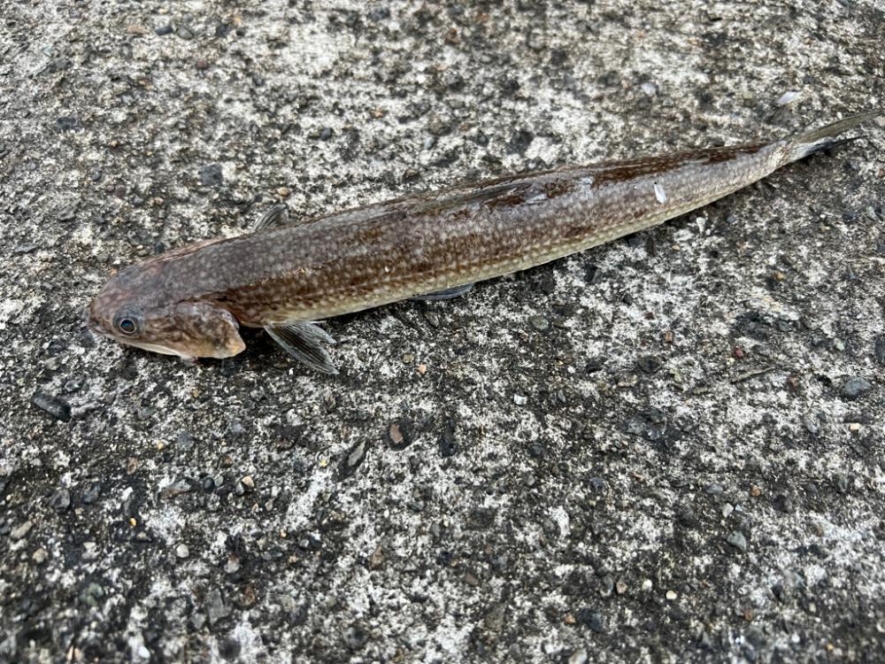 有休の過ごし方